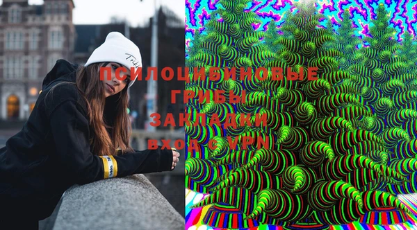 скорость Няндома