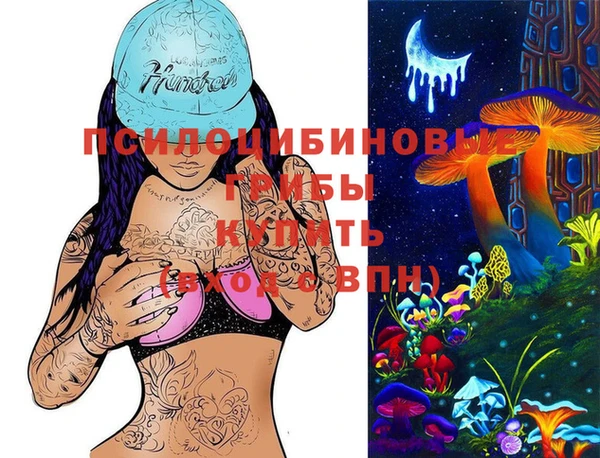 винт Нягань