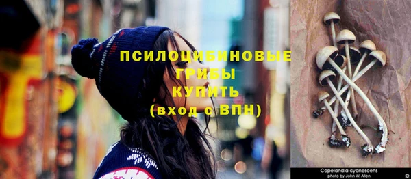 скорость Няндома