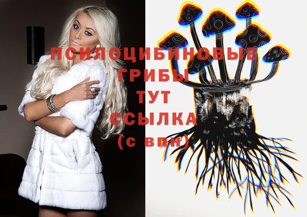 винт Нягань